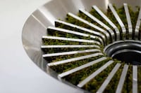 Plant-Powered Humidifiers Image 2