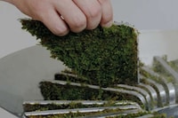 Plant-Powered Humidifiers Image 3