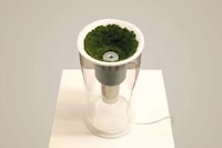 Plant-Powered Humidifiers Image 5