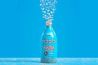 Pea Protein-Infused Oat Milks Image 1