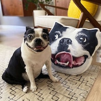 Personalized Pet Photo Gifts Image 2