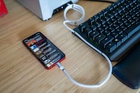 Multipurpose Magnetic Cables Image 1