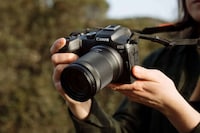 Mirrorless Image-Stabilization Cameras Image 1