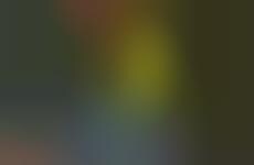 Retro Color Palette Sneakers