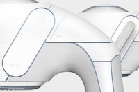 Robotic Visual Impairment Guides Image 5