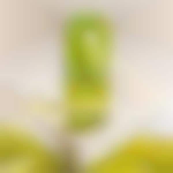 Hydrating Bamboo Serums