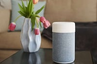 Anti-Listening Smart Speaker Devices Image 2