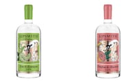 Fruit-Infused Gins Image 3