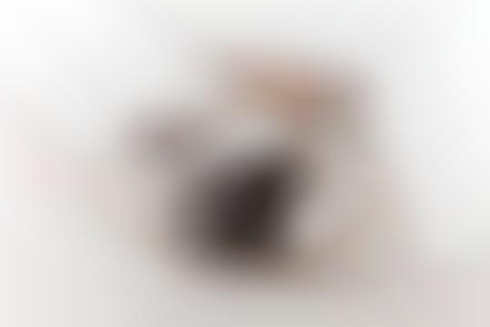 modern rocking horse