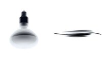Dual Image Photography
