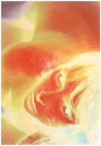 Impassioned Bookstrations Image 6