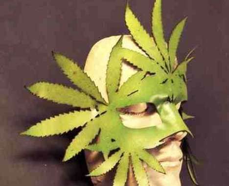 20 Leafy Finds