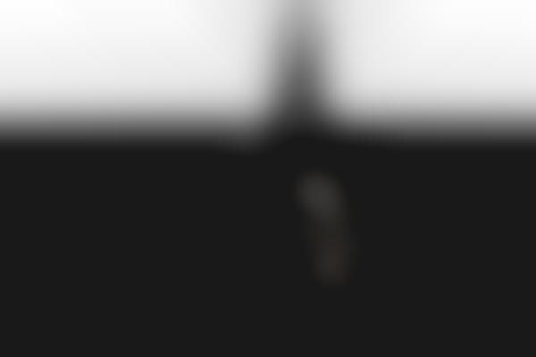 Dichromatic Photo Shoots