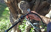 Trees as Instruments Image 3