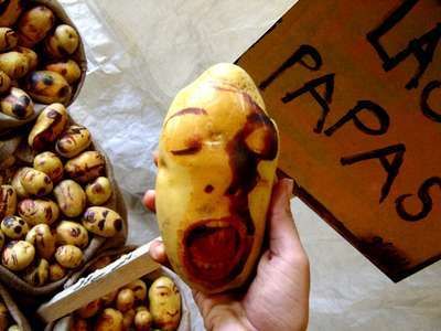 29 Potato Innovations