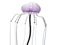 Jellyfish Routers Image 2