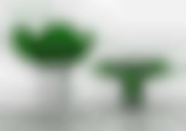 Blooming Furniture