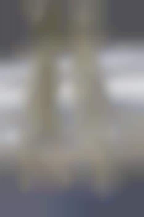 Human Slaughterhouses