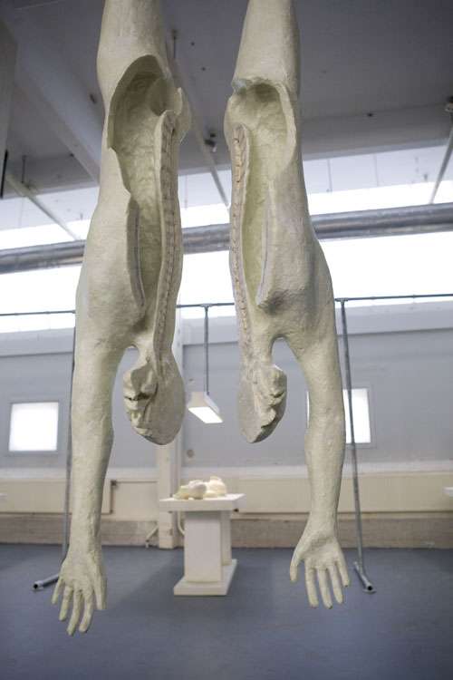 Human Slaughterhouses