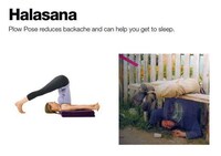 Asanas for Alcoholics Image 5
