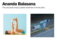 Asanas for Alcoholics Image 8