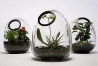 Globular Mini-Gardens