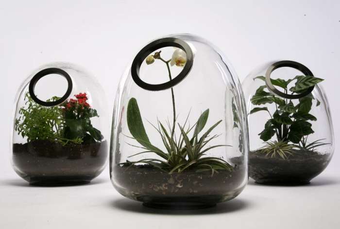 Globular Mini-Gardens