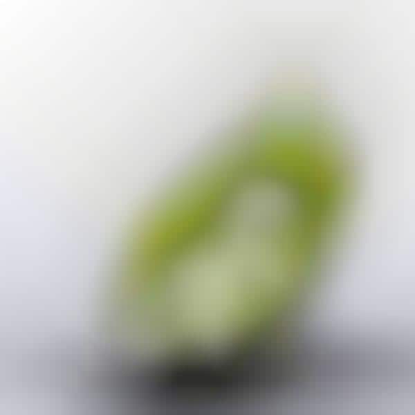 Light Pulsing Bassinets