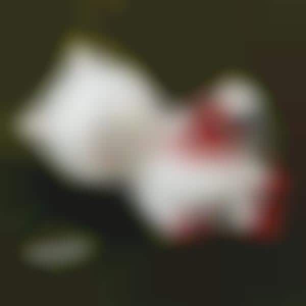 Brutal Toy Teddies