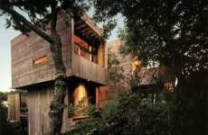 Tree Palaces