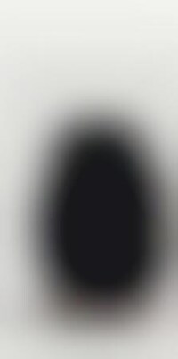 Fluffy Puffy Rockers Image 1