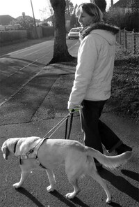 Canine GPS Systems Image 2