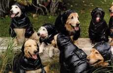 Puffy Coats for Pooches