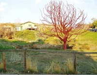 Tree Painting Image 3