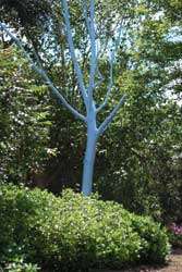Tree Painting Image 4