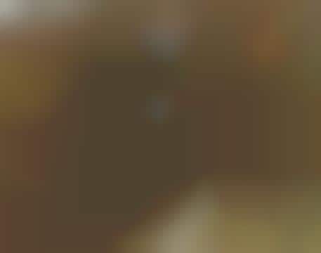 Extreme Denim Sports