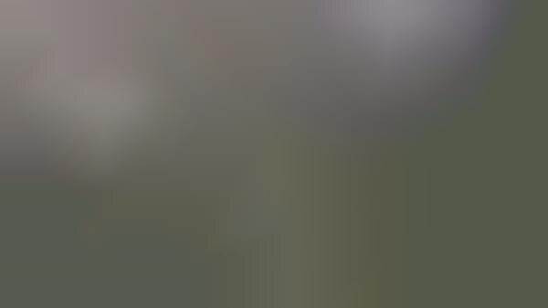 Driving Car-ligraphy