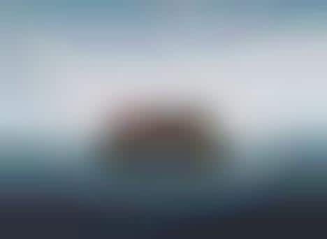 Whale-Summoning Songs