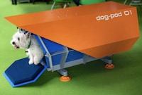 Architecturally Designed Dog Kennels Image 2