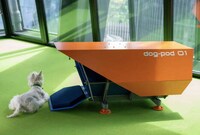Architecturally Designed Dog Kennels Image 3