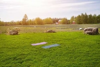 Lavender Field Yoga Classes Image 1