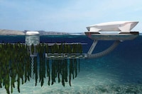 Autonomous Aquafarming Robots Image 3
