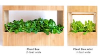 Modular Indoor Gardening Solutions Image 2