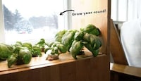 Modular Indoor Gardening Solutions Image 4