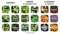 Modular Indoor Gardening Solutions Image 6
