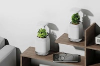 Dementia Support Smart Planters Image 1