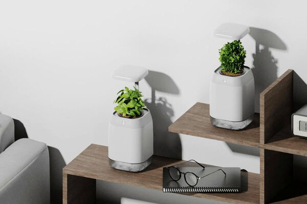 Dementia Support Smart Planters