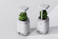 Dementia Support Smart Planters Image 3