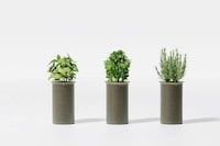 Dementia Support Smart Planters Image 4