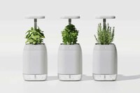 Dementia Support Smart Planters Image 5